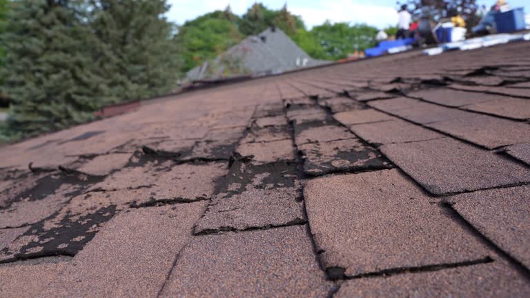 Best Emergency Roof Repair Services  in Columbia, MO