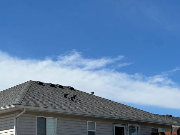 Best Roof Maintenance and Cleaning  in Columbia, MO